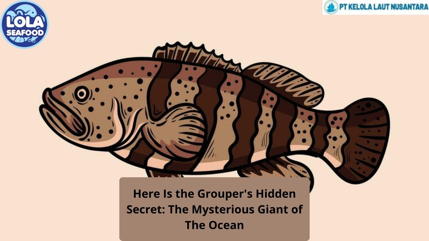 Here Is the Grouper's Hidden Secret: The Mysterious Giant of The Ocean